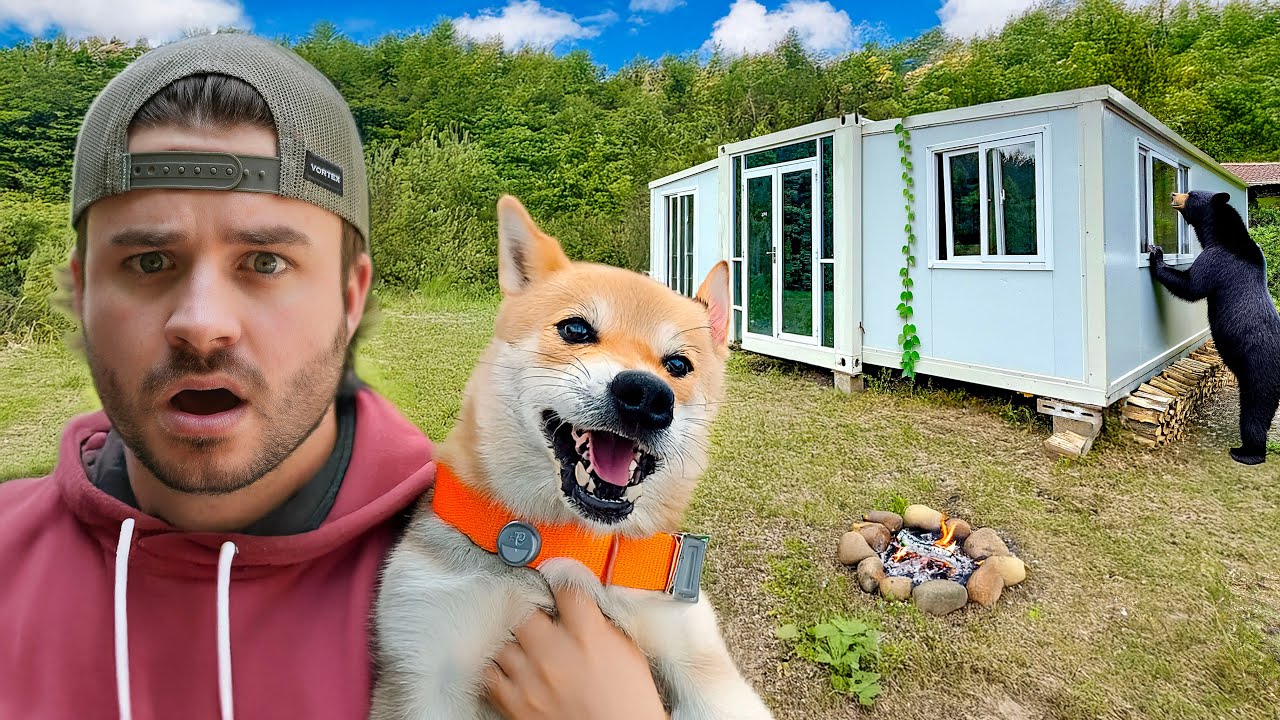 Overnight in My Off-Grid Tiny Cabin and Bear Hunting!