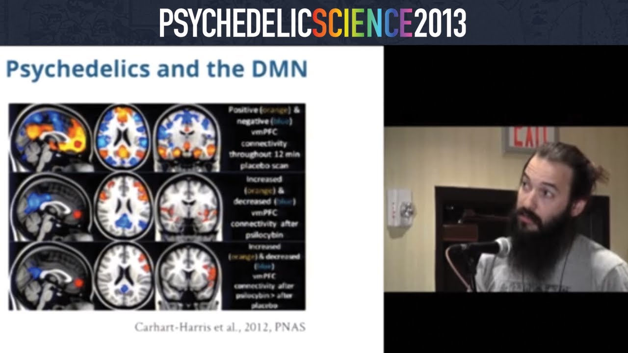 Effects of Psilocybin and MDMA on Resting State Hippocampal Functional Connectivity - Luke Williams