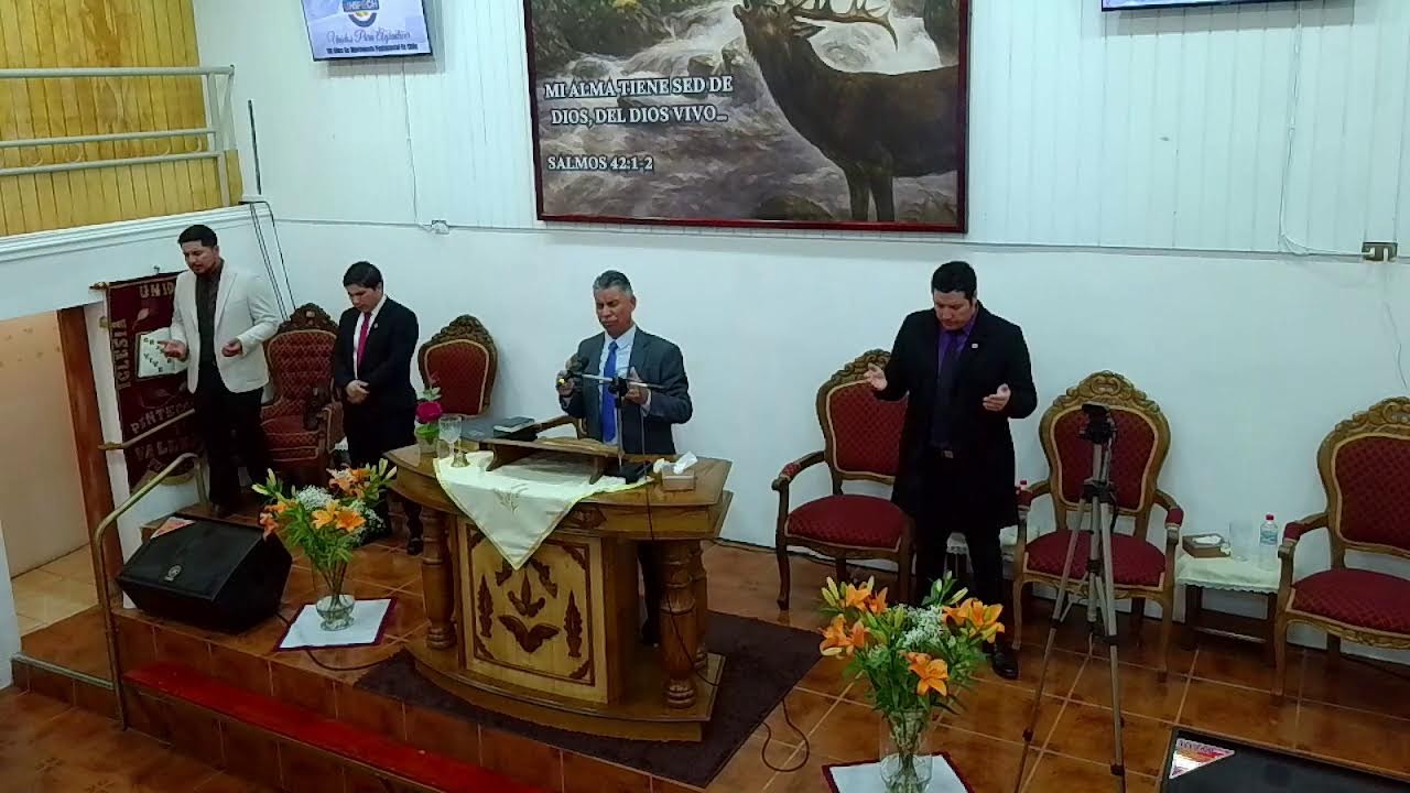 Servicio especial UNIPECH 116 Años