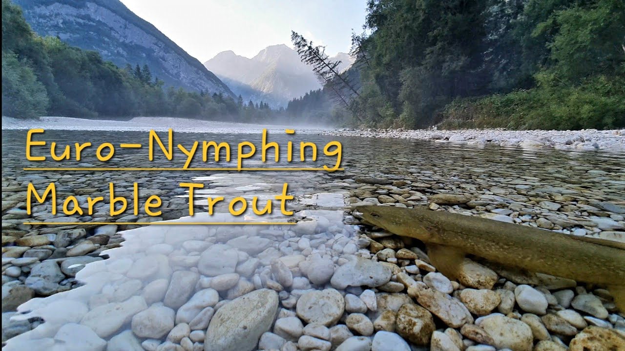 Fly Fishing in Slovenia I Soča | Euro-nymphing marble (marmorata) trout