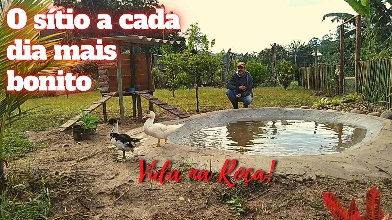 LAGO DOS PATOS E JARDIM DO SÍTIO. OS PATOS CHEGARAM! MUITAS FLORES, O SÍTIO VAI FICAR LINDO.