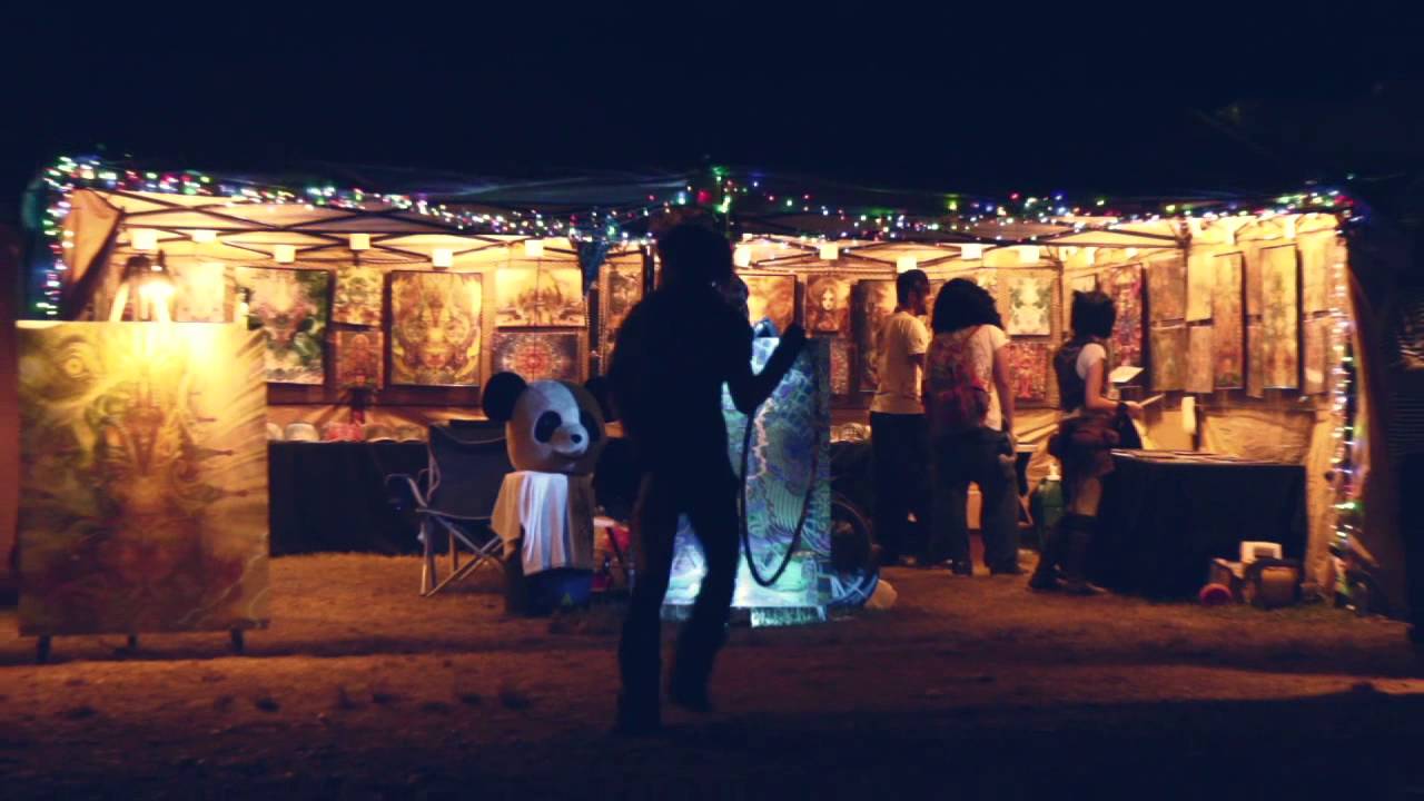 The Shambhala Music Festival Experience