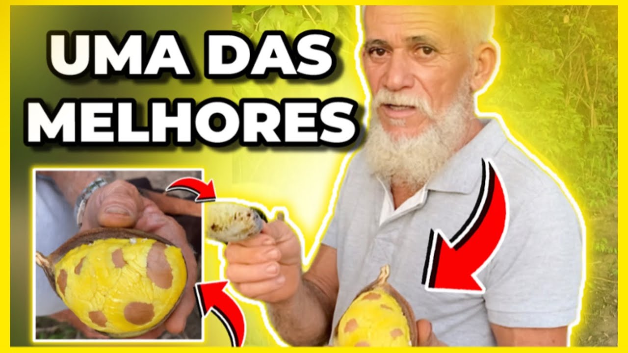 JACARAND&Aacute;/ BANHA DE GALINHA UMA DAS MELHORES