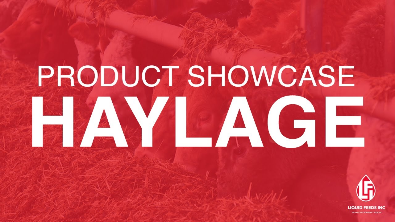 Product Showcase: Haylage | Liquid Feeds Inc