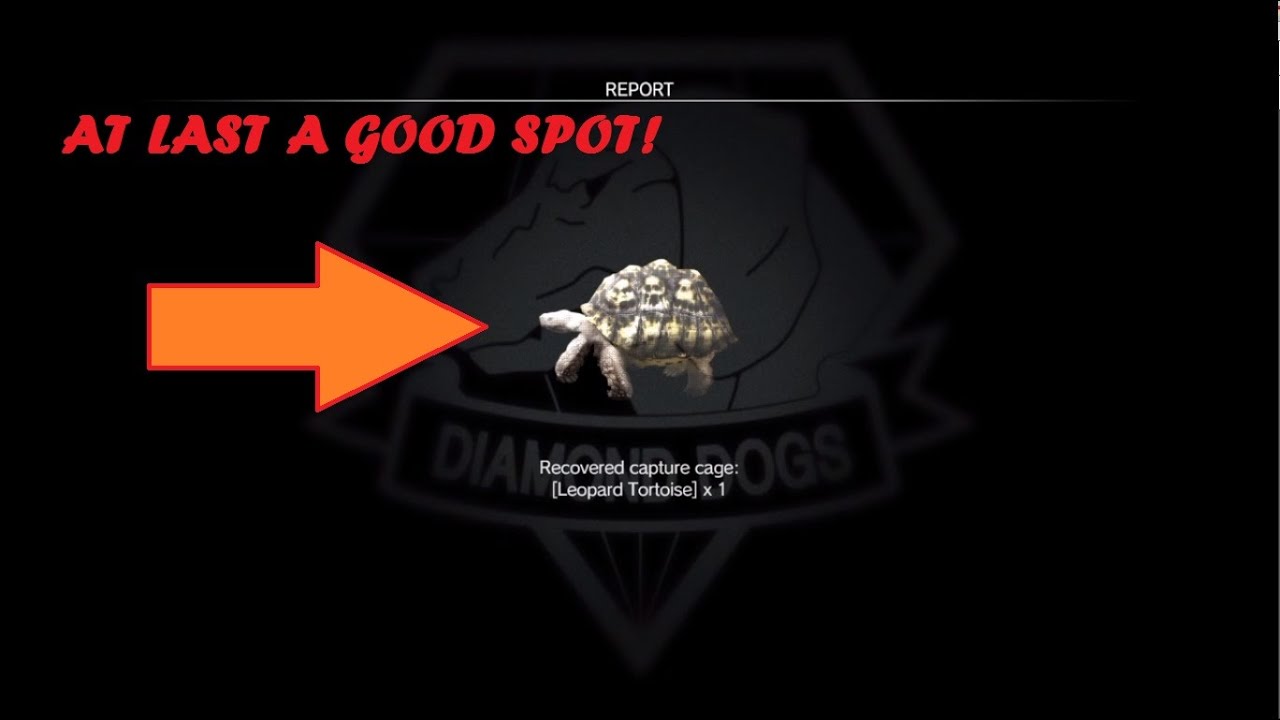 How to get the elusive LEOPARD TORTOISE! (Location) (Metal Gear Solid V: The Phantom Pain)