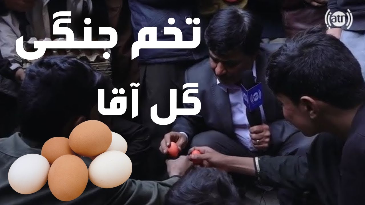 تخم جنگی گل آقا با تخم فروش
