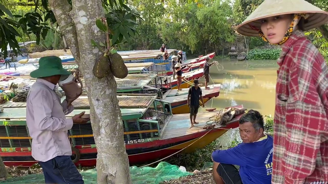 “Full: A compilation video of trucks & ships transporting ducks across fields to distant lands”