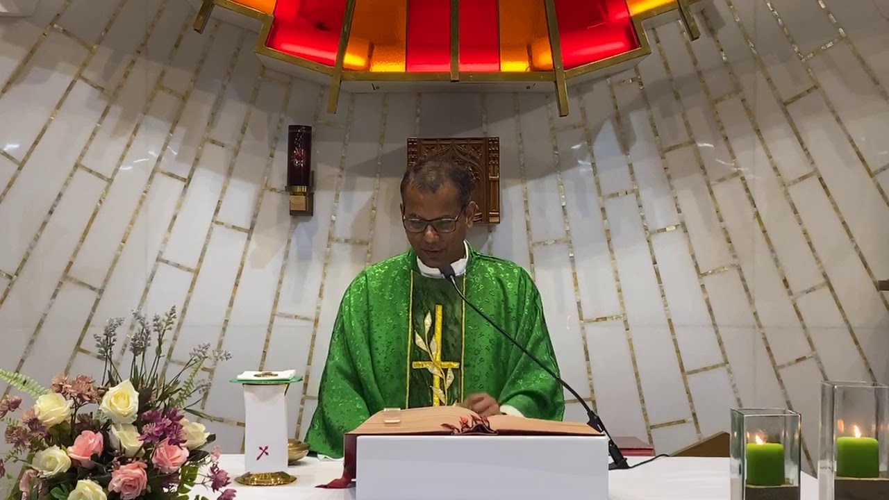 Matthew 7 : 6, 12-14 | Homily - 23rd June, 2020