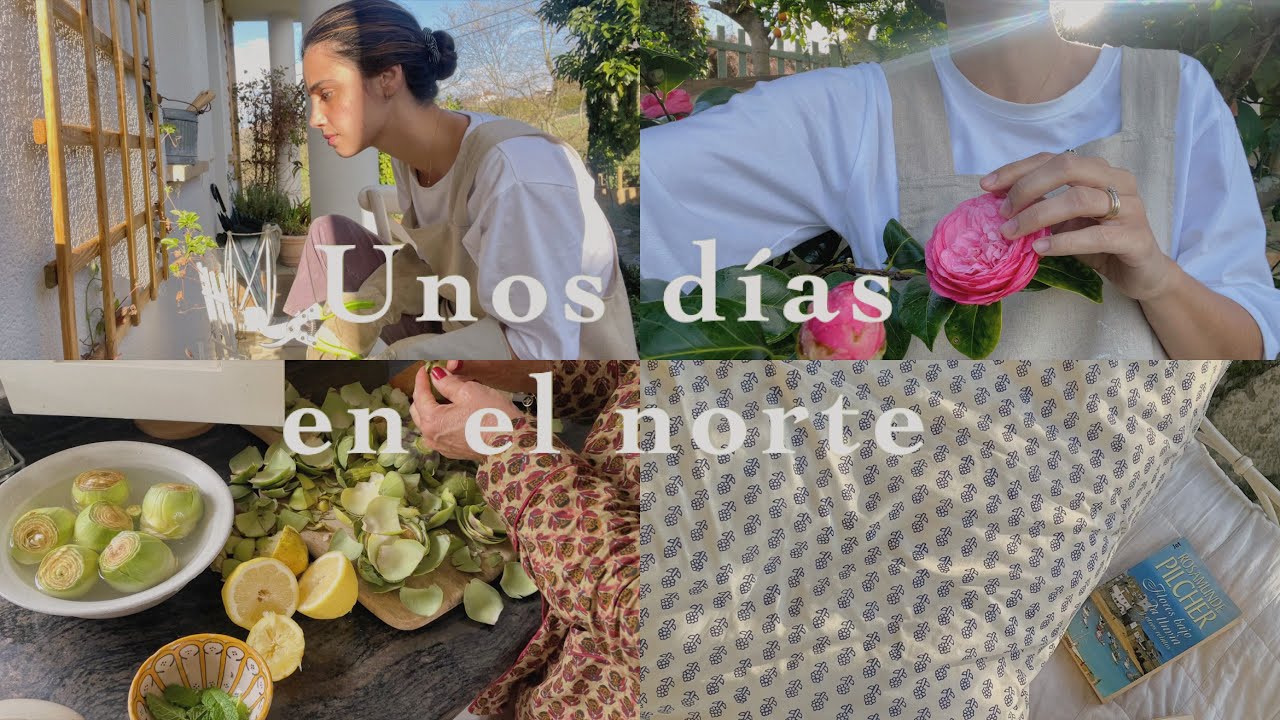Unos días en el norte