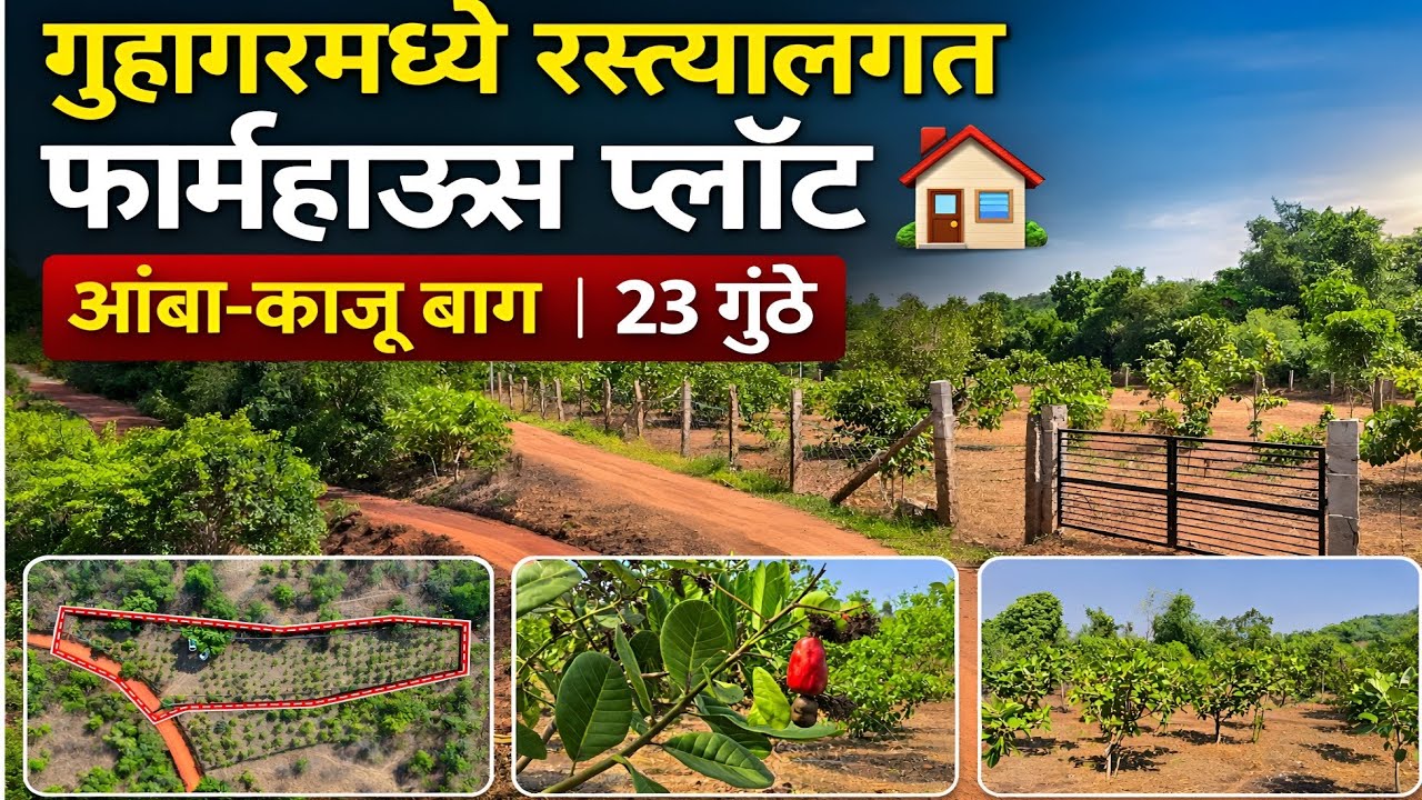 गुहागरमध्ये 🛣️ रस्त्यालगत फार्महाऊस प्लॉट 🏡आंबा-काजू बाग | 23 गुंठे💥