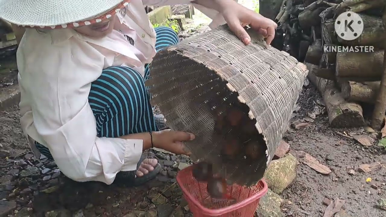 Buah salak #vlogkampung #suasanakampungyangsederhana 