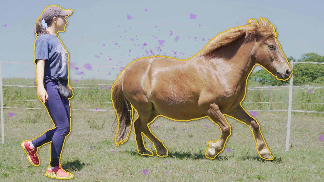 UNE JOURNÉE (trop chargée) AVEC NOUS ☀️