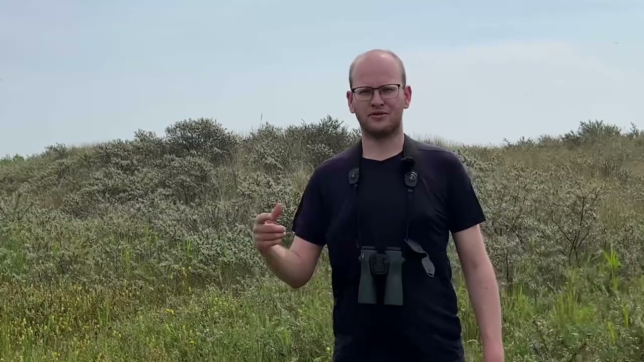 Invloeden van klimaatverandering in Texelse duinen
