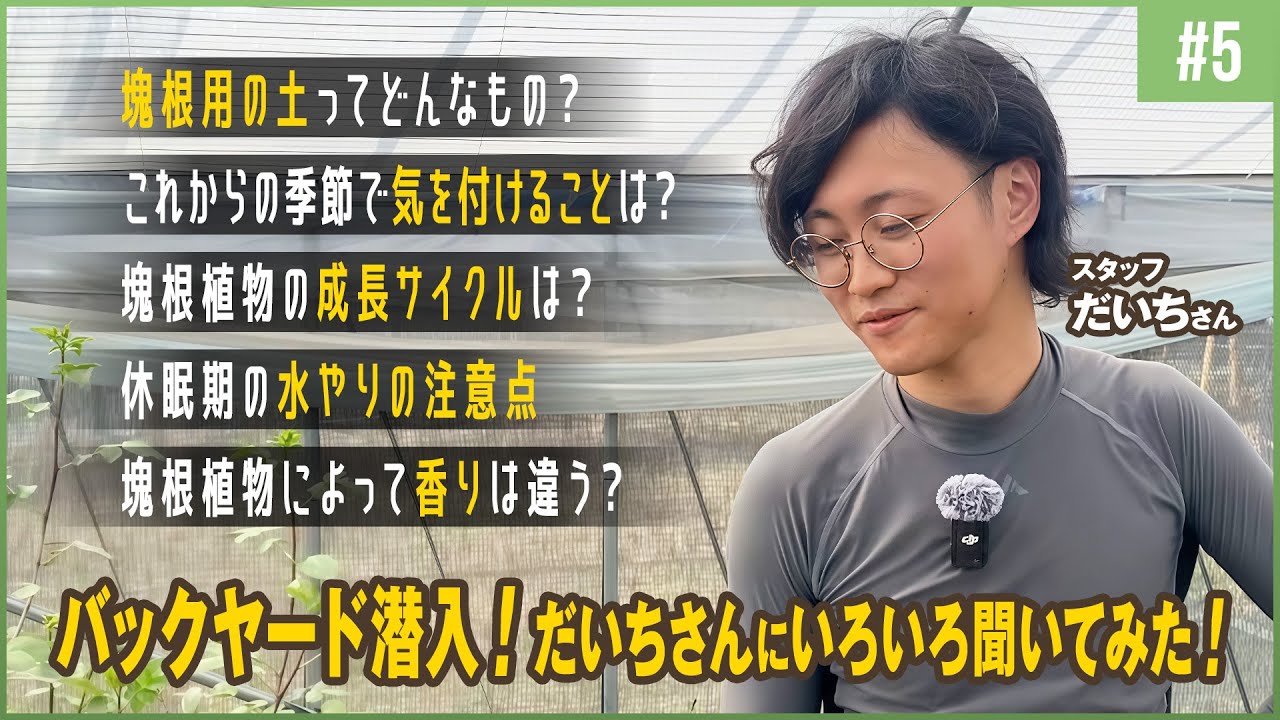 #5 バックヤード潜入！だいちさんにいろいろ聞いてみた！