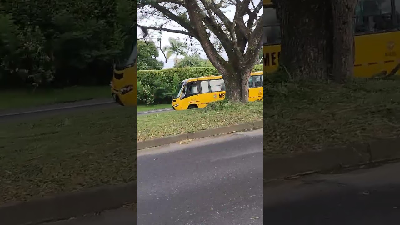 Cartago cerritos en bicicleta 