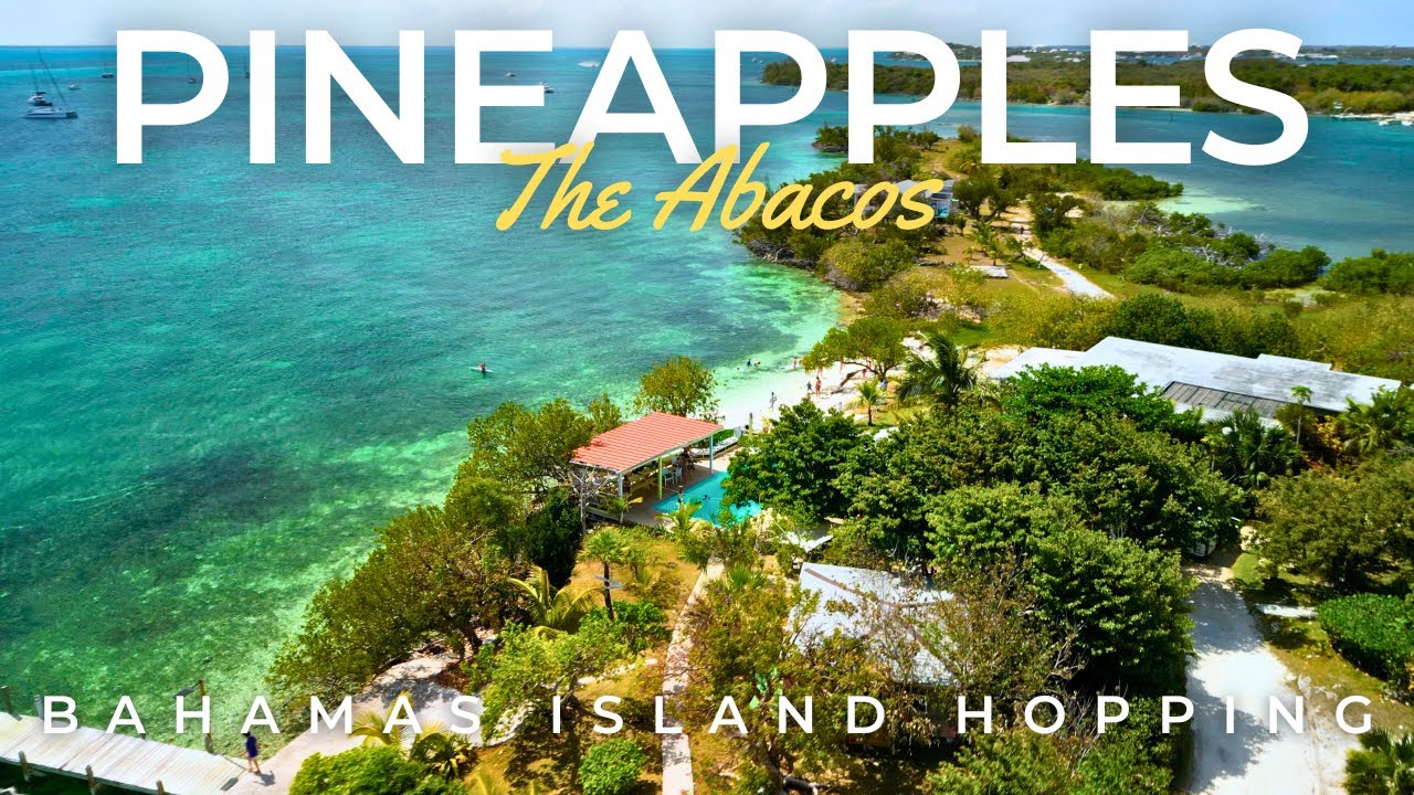 Is This The Best Bar in The Bahamas?! | The Abacos