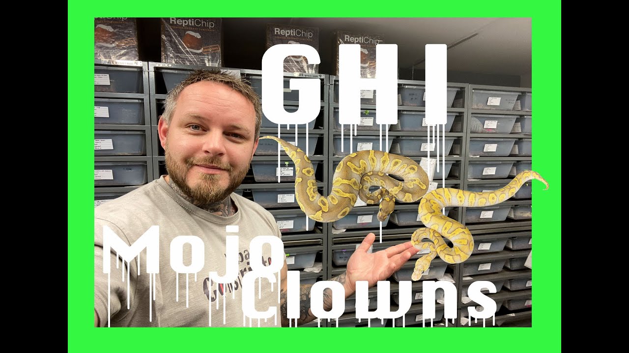 GHI Mojave Clowns! 🤯