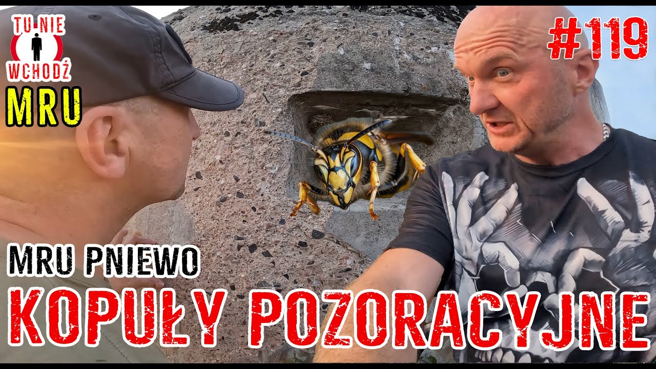 WIELKA ŚCIEMA ADOLFA H. - miały oszukać przeciwnika #MRU #BUNKRY