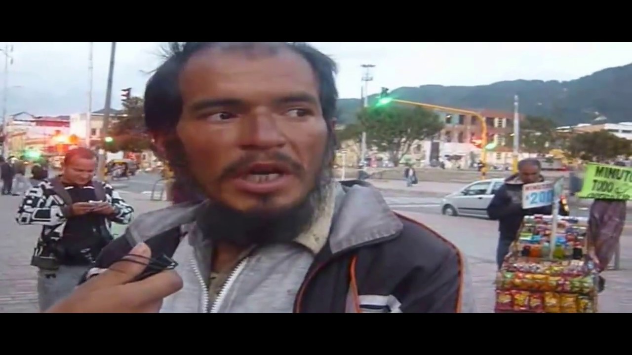 el Zebra En la Calle