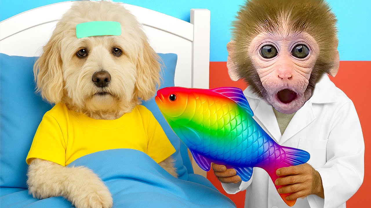 Doctor BonBon Mono Cura Al Perrito Lindo Con Un Pez De Colores - Mono HT Esp