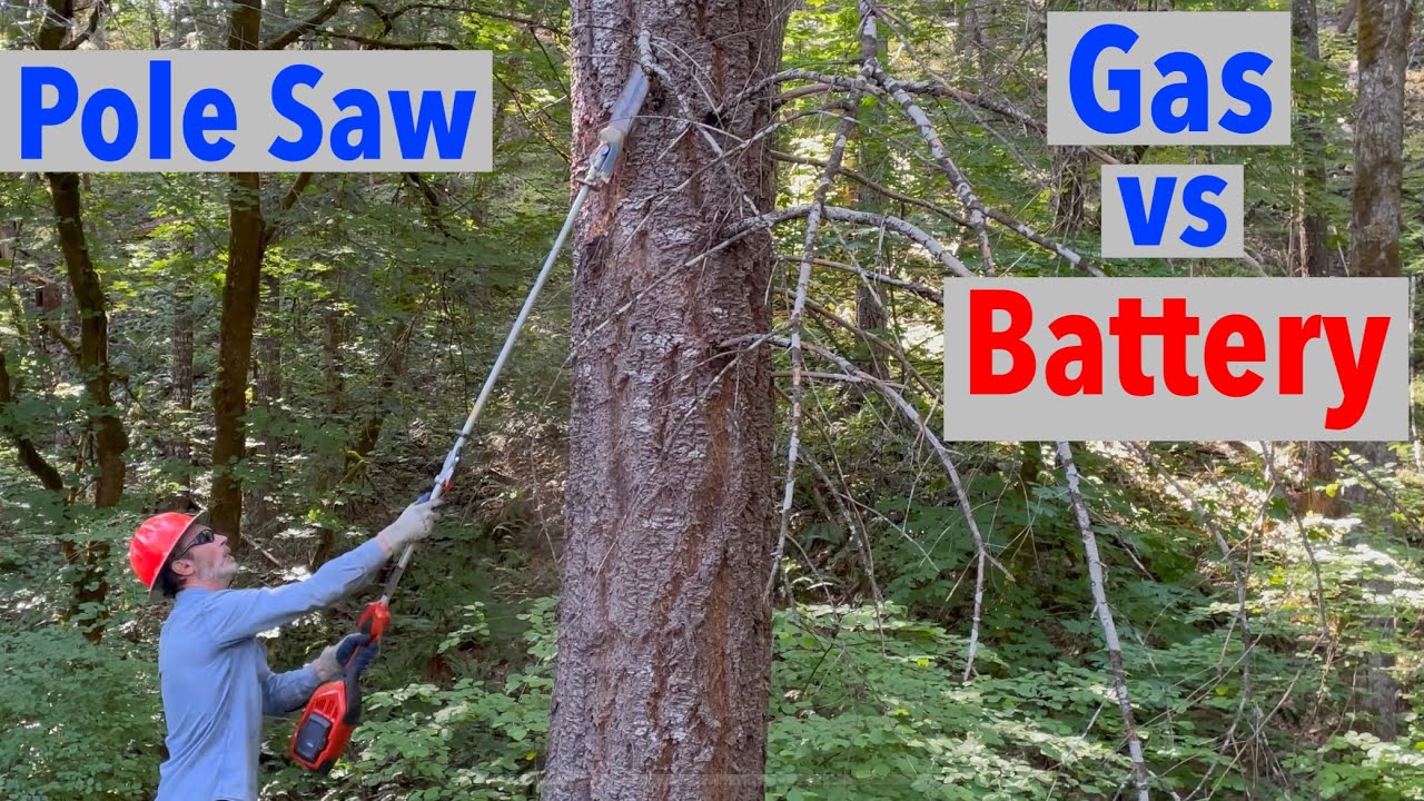 Gas Pole Saw vs Battery - Which is Best?