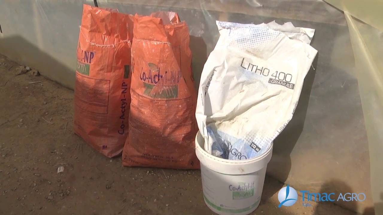 Agricoltori di Successo - L'Azienda agricola Buccheri