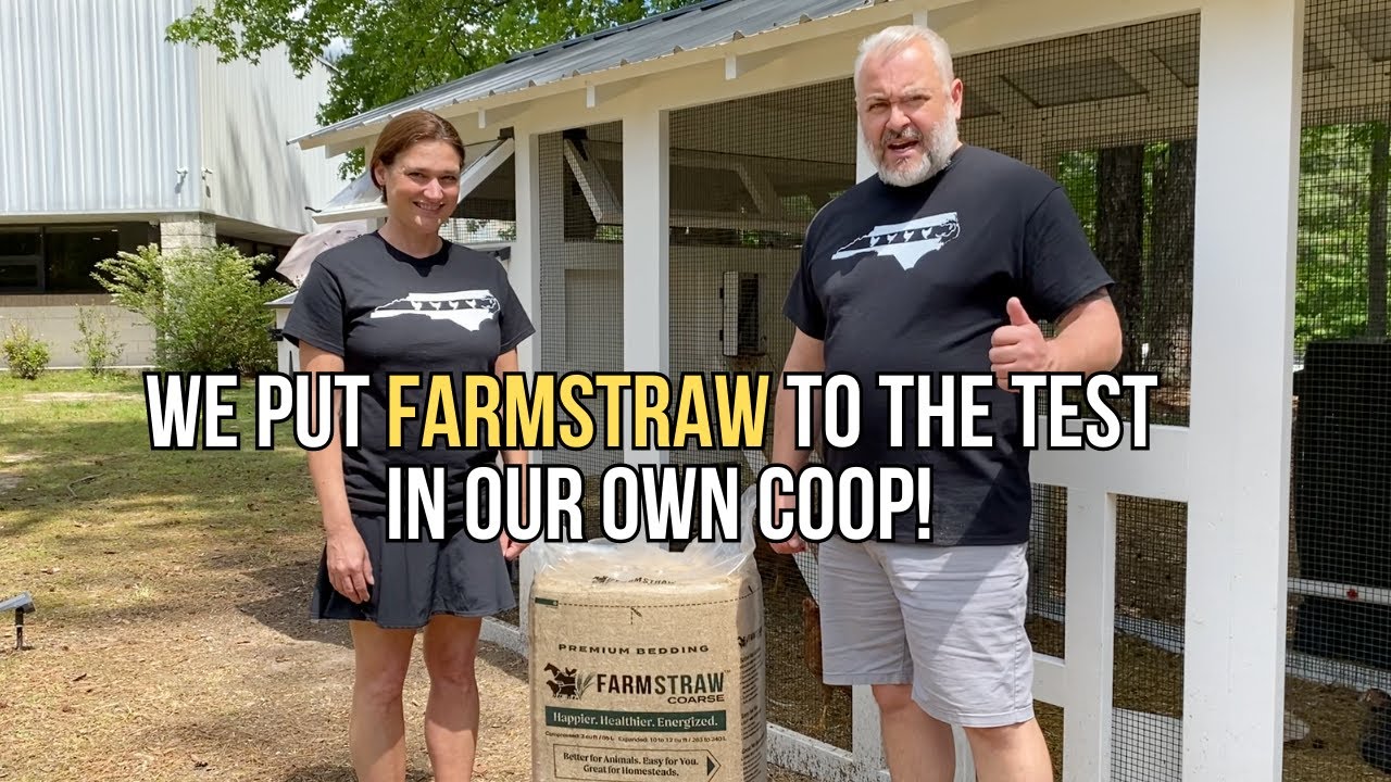 We Put FarmStraw to the Test in Our Own Coop