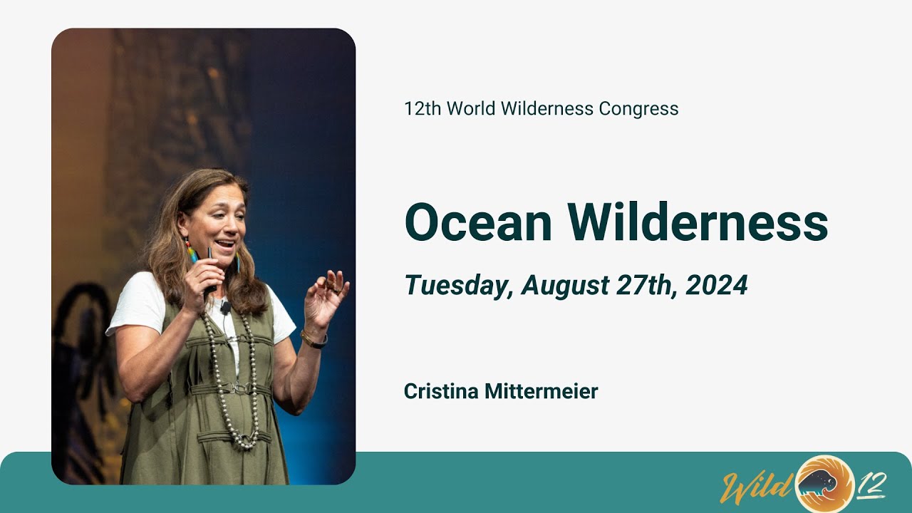 Ocean Wilderness | WILD12, Black Hills, 2024