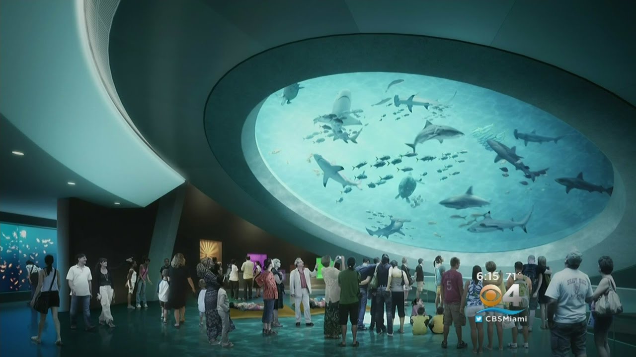 Opening Day Announced For New Frost Science Museum