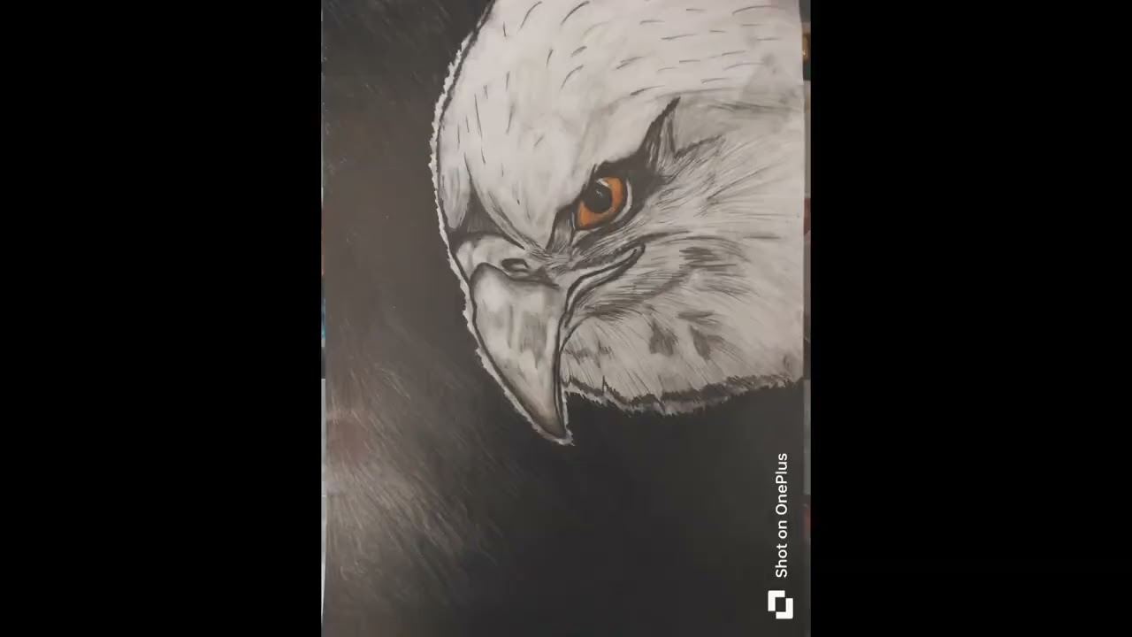 Eagle Face Sketch @Tanisha3746 #drawing#viral#trending#