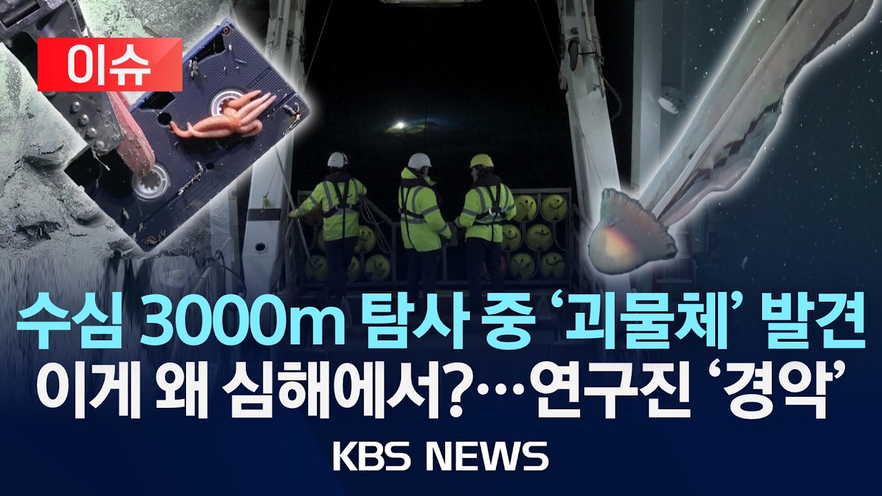 [🔴이슈] 아르헨티나 심해 탐사 영상 공개…초희귀 해파리에 한국어 비디오?/2026년 2월 9일(월)/KBS