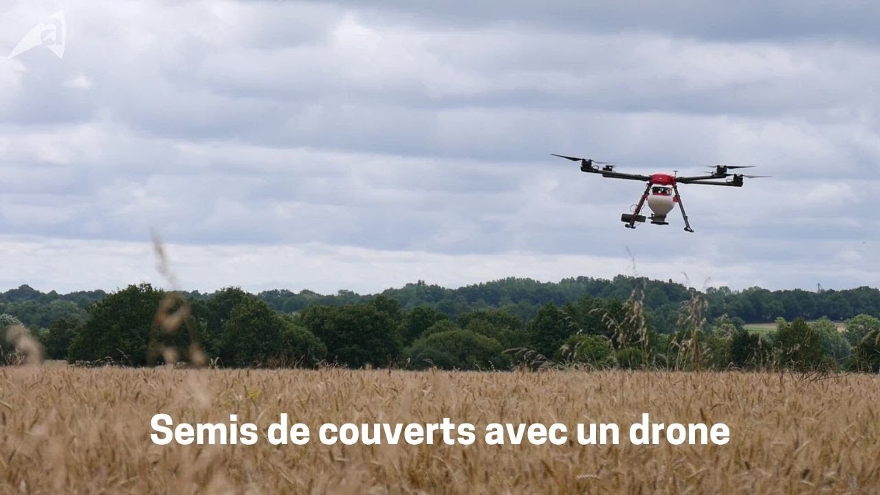Le semis de couverts végétaux avant récolte avec un drone