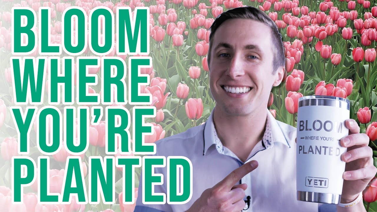 Bloom Where You're Planted!