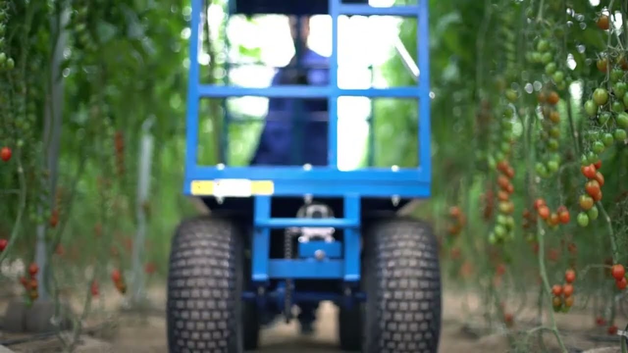 Andamio eléctrico invernadero YKNE-100