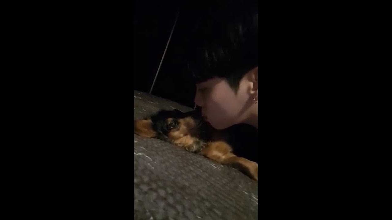 종현인스타라이브 170530~170924  귀염부분 편집( 루 출연, 일본공연후 젤리얌얌)
