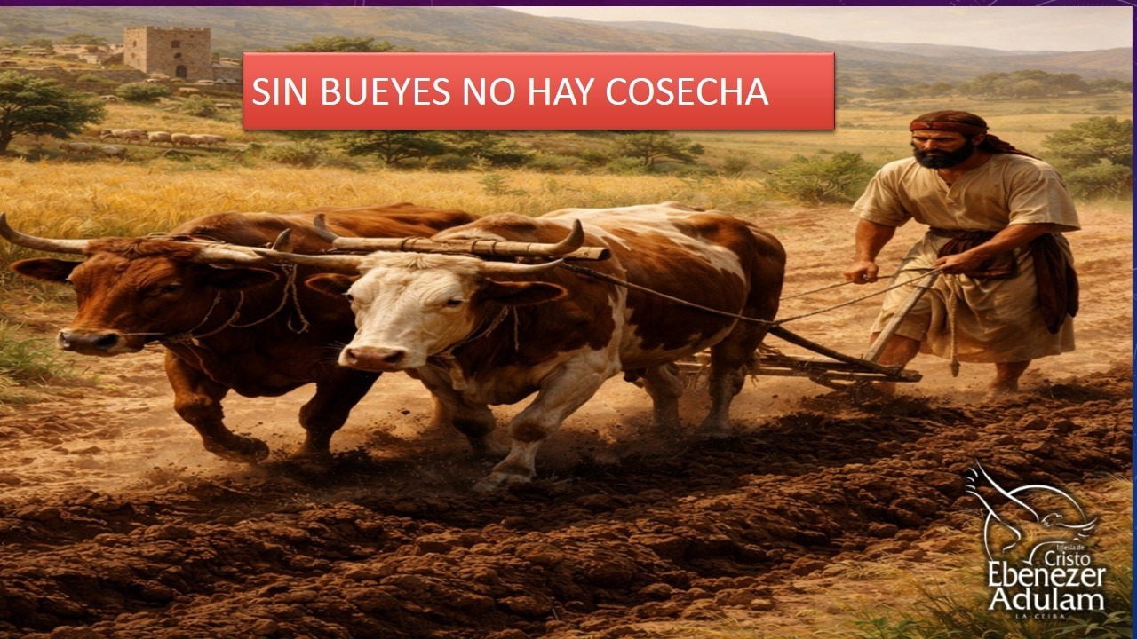 Pastor. Mario Edis Ramos  │Sin Bueyes No Hay Cosecha│ Miércoles 4 de Marzo de 2026