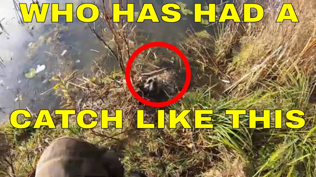 PA Trapping Season 2021-2022 ep.11 A Few Catches