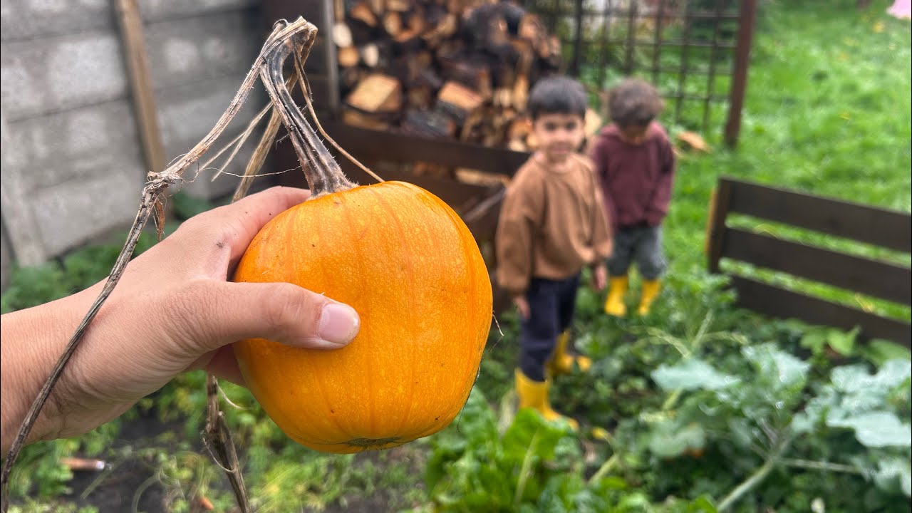 Nesting has began!-Harvesting Pumpkins, Diwali fun, Autumnal & home ed activities! 🎃