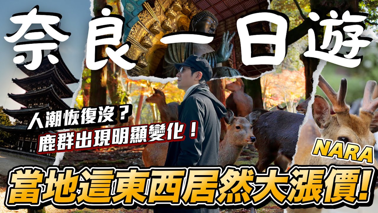 2023奈良最新旅遊現況 大家看到鹿鹿好開心 東大寺 奈良公園 興福寺 猿澤池 東向商店街 ｜日本旅遊 奈良