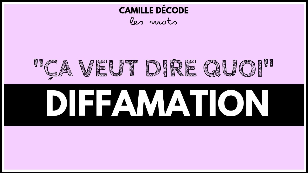 Ca veut dire quoi DIFFAMATION ?! | Camille décode