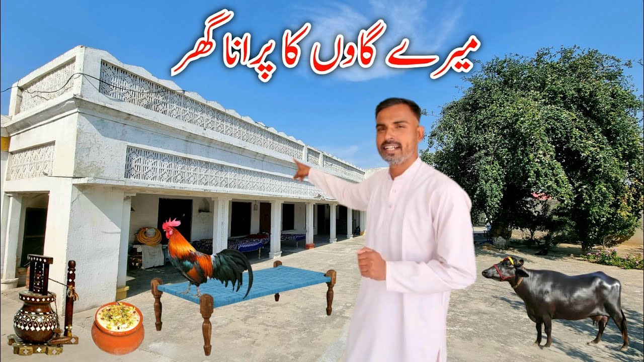 Most Old House Of My Village Khairi Bala || Village Life Of Khairi || Gahon Ki Sada Zindagi