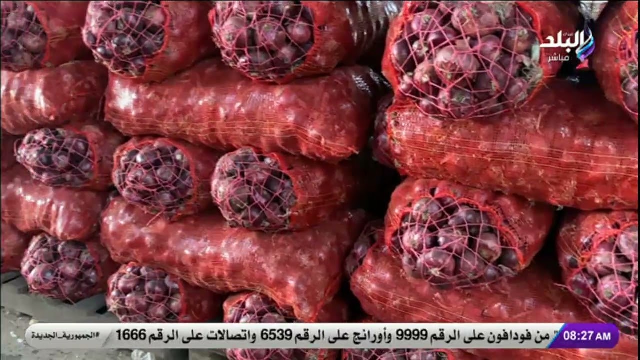 أسعار الخضار والفاكهة اليوم في سوق العبور قبل شهر رمضان