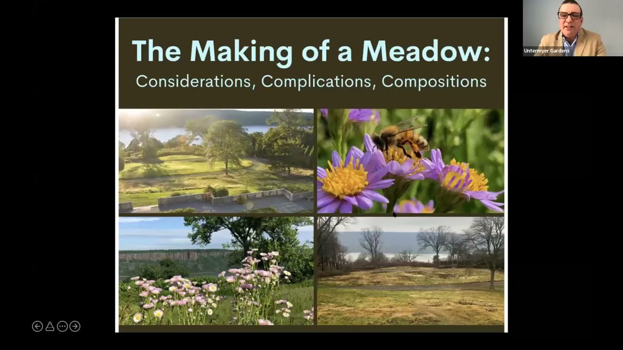 Virtual Symposium: The Making of a Meadow