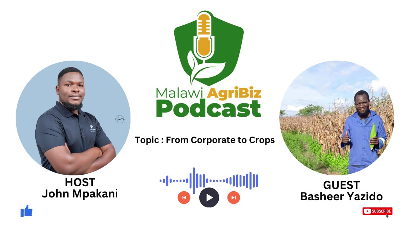 From Corporate to Crops: The Journey of a Young Entrepreneur in Malawi | Basheer Yazido Moyenda