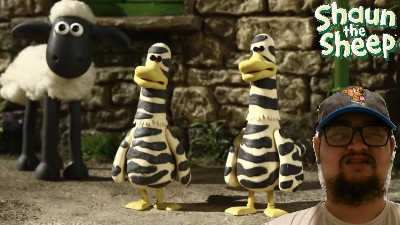 Shaun the Sheep: Zebra Ducks of the Serengeti (S2, E28) - First Time Watching: Rare Ducks?