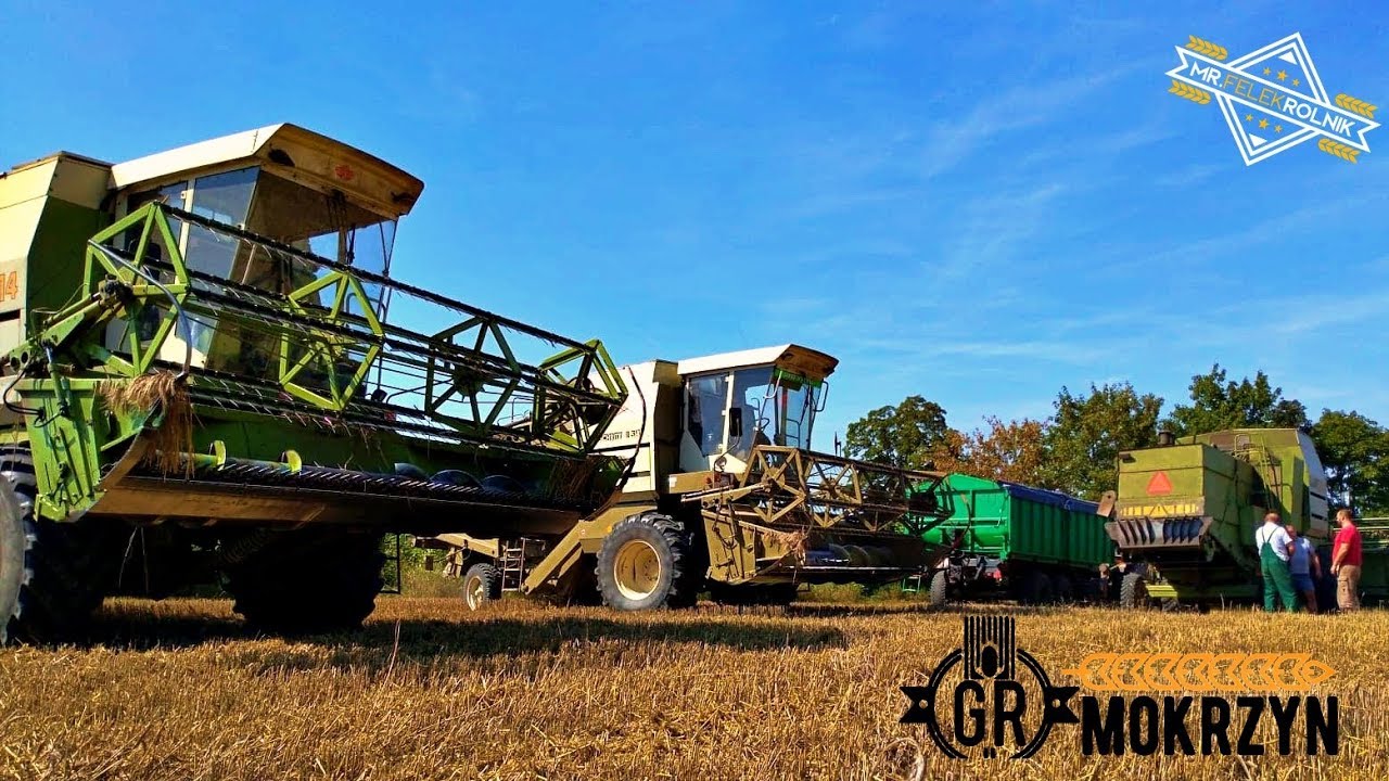 ★Lato 2019 w Gospodarstwie Rolnym Mokrzyn |Ursus|ZTS|Fortschritt|