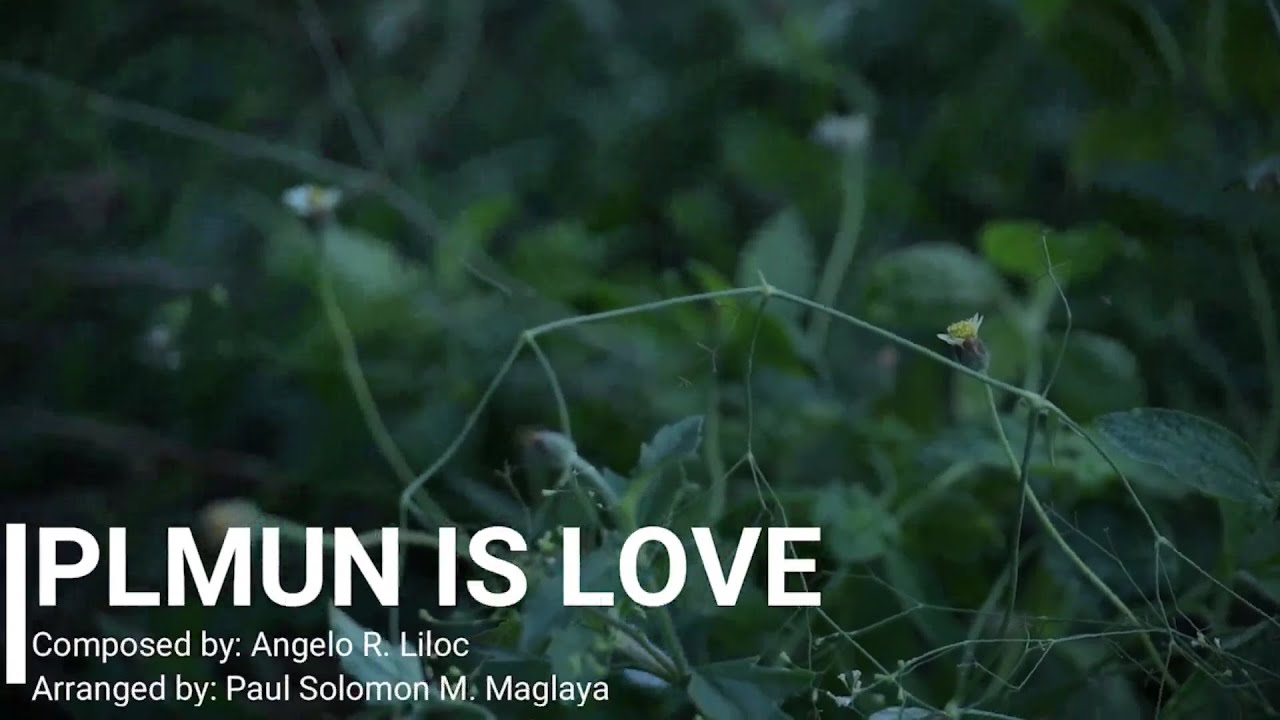 PLMUN IS LOVE