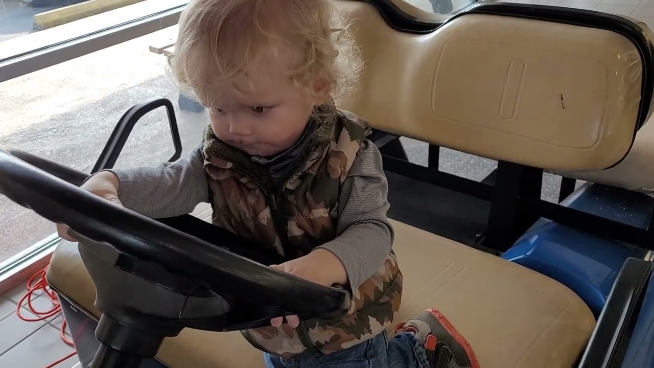 Colt At The Car Dealership