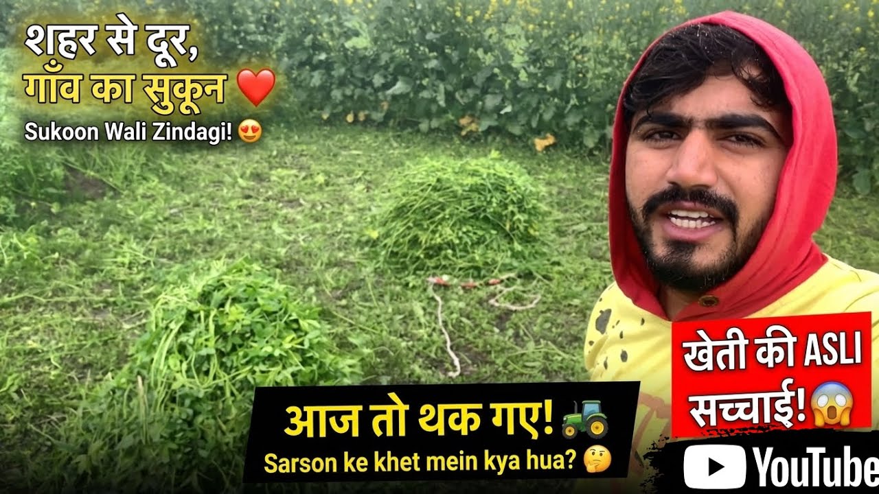 My Daily Farm Routine: Berseem ki katai aur Sarson ka khet 🌾