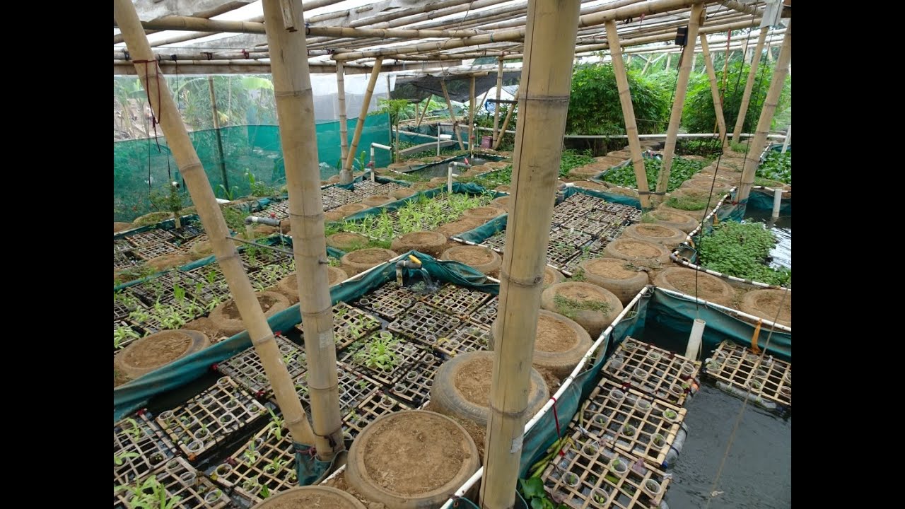 5eyes  Building the Aquaponics   PART ONE